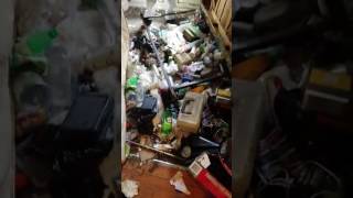 Dead cat in hoarder's filthy Manhattan apartment! Yuck!!!