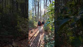 Winter Virginia AT Section #hikinglife  #appalachiantrail