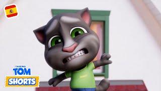 ✋ ¡No pises la arena! – Cortos de Talking Tom (Temporada 2 Episodio 31)