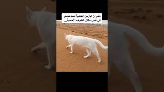 اشياء ستلاحظها لاول مرة في حياتك 😱