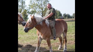 Pojenie koni u Kubali Ciekawy pomysł Bogdana na poidło na polu Rolnik z Podlasia Borowskie Cibory