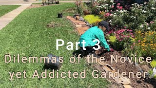 🌸 Dilemmas of the Novice yet Addicted Gardner Part 3 🌸