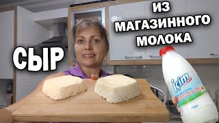 УЧУСЬ ВАРИТЬ СЫР! ИЗ МАГАЗИННОГО МОЛОКА И ТВОРОГА. Муж в шоке - блины из сыворотки 😋 #рецепты