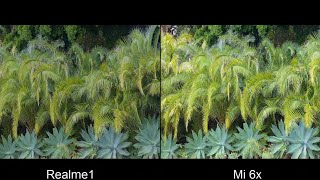 Oppo Realme 1 vs Xiaomi MI 6X camera comparison