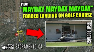 Pilot Makes Incredible FORCED LANDING on GOLF COURSE After Engine Failure