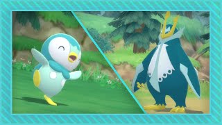 [LIVE] Shiny Piplup after 3,511 resets in Brilliant Diamond + 1 uncatchable Starly