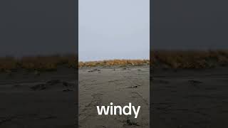 strong wind in north west pacific ocean