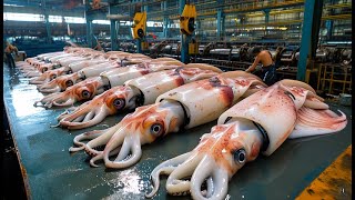 How Fishermen Use Robots to Catch Millions of Giant Squids This Way - Hand Fishing Squid at Sea #02