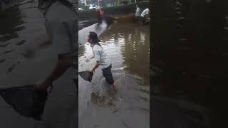 nguras kolam penuh dengan ikan