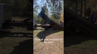 Log delivery #dumptruck #sawmill #georgia #pine #specialdelivery￼ #USA