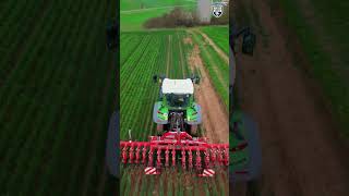 Einböck Hacke im Weizen mit Fendt 300 Vario #agrar #weizen #fendt