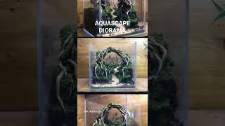 Tutorial Membuat Aquascape Diorama Simple #shortvideo #short #tutorial