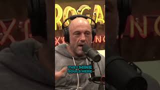 The Mind Blowing Theory  Are Humans Containers of Souls #viral #joerogan #shorts