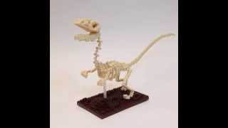 nanoblock Velociraptor Skeleton Model