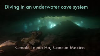 Cave diving in Mexico. The Cenote Tajma Ha. .#cavediving #scubadiving