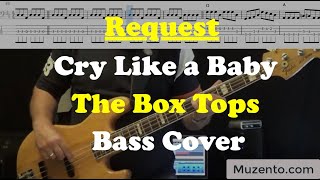 Cry Like A Baby - The Box Tops - Bass Cover - Request