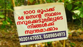 വെറും 1000 രൂപക്ക് 68 സെന്റ് സ്ഥലം വില്പനക്ക്😳 നിങ്ങൾക് വേണോ | 1000 Rs Land Sale In Kerala| One Roof