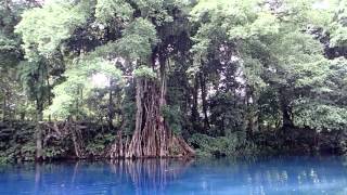 The Blue Holes of Espiritu Santo, Vanuatu