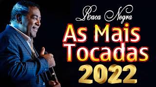 AS MELHORES MÚSICAS DE RAÇA NEGRA - RAÇA NEGRA ESPECIAL 2022 - VARIAS MÚSICAS NOVAS