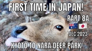 Part 8A First Time in Japan December 2023 | Kyoto to Nara Deer Park