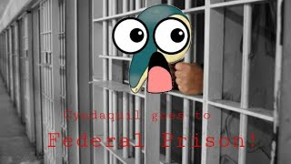 Cyndaquil goes to federal prison for a pirated mario kart wii game ( earrape warning )