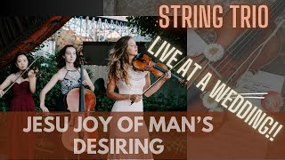 Jesus Joy of Man’s Desiring for string trio