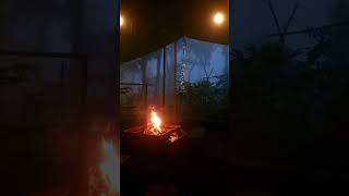 Mid Night Camp Fire in Wayanad #travel #reels #youtubeshorts #viral #travelwithmaha