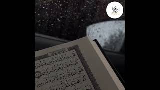 Bandar Baleela surah Al Fatikha #quran #surahfatiha #bandarbaleela #shorts #gurabamedia