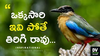 Telugu Motivational Quotes |  Life Quotes in Telugu 03