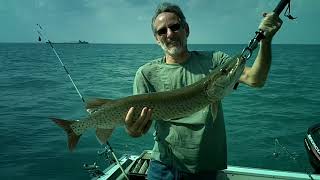 lake st clair muskie fishing 8-3-18