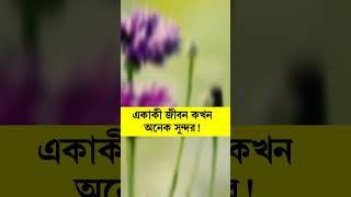 একা থাকুন - #easylifeschool #motivationalspeech #motivationalbangla #shors