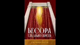 ГЛАВА 9. НАМ ВСЕ ЕЩЕ НУЖЕН ПОСРЕДНИК  (Джеффри Коэн)