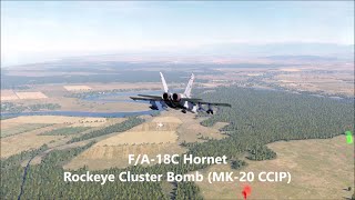 F/A-18C Rockeye Cluster Bomb(MK-20 CCIP) Guide | DCS World