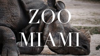 Zoo Miami  in 2 minutes