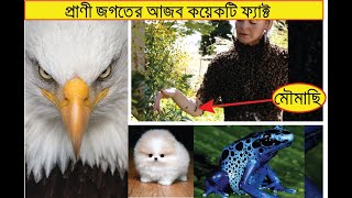 Amazing Animal Fact Video || Weird Fact Video of Animal |  Some amazing fact about animal ||