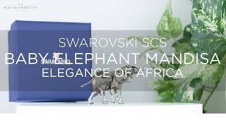 Swarovski SCS Elegance of Africa Elephant Baby Mandisa