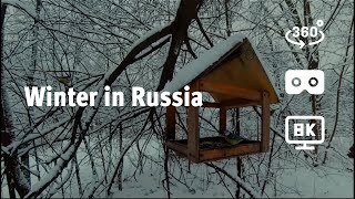 Зима в России. Снежная лесная сказка (VR видео 360 в 8К)