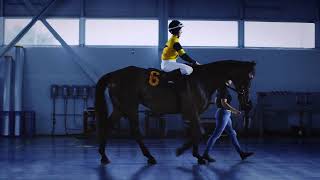 Big Ass Fans Breeders' Cup Commercial