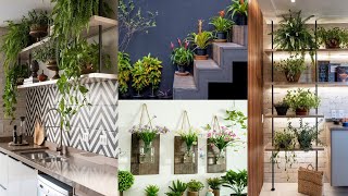 Inspire se com estas 20 ideias de plantas na decoração - que vão dar vida ao ambiente!