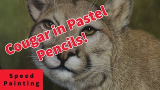 Painting Wildlife - Realistic Cougar Drawing in Pastel Pencils