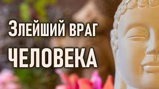 Ум - это злейший враг человека.