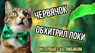 КОШАЧИЙ БЛИН! ЧЕРВЯК ОБХИТРИЛ МЕНЯ! 😾