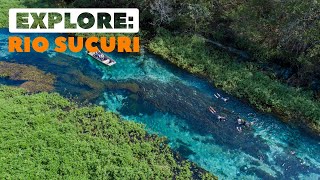 Explore: Rio Sucuri | Bonito MS - Bonitour| 4K