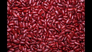 Kidney Beans 101 - Dried vs Canned