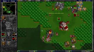 Warcraft 2 30.9.2024