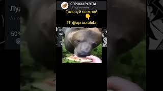 лудший Фреди фазбер #опросы