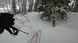 Steamboat Springs, James Bond Trees w/ Jayden 3/23/23