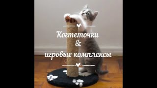 Когтеточки и игровые комплексы для котов