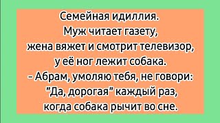 Семейная идиллия! 😁 Еврейские лучшие смешные до слез  анекдоты. Подборка анекдотов про евреев.