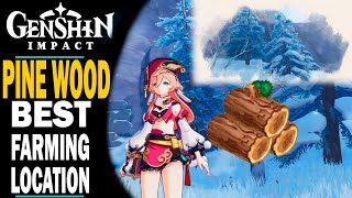 GENSHIN IMPACT - WHERE TO FIND PINE WOOD - BEST LOCATIONS FOR FARMING!!